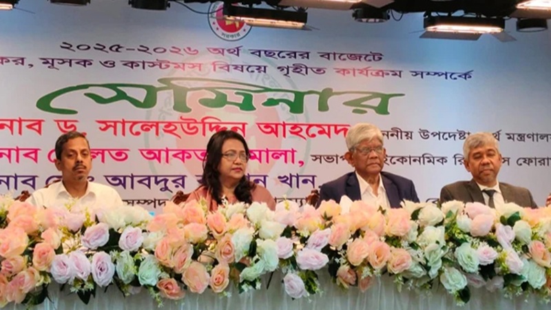 সমালোচনার পাশাপাশি অন্তর্বর্তী সরকারের ইতিবাচক দিকও দেখার আহ্বান ড. সালেহউদ্দিনের